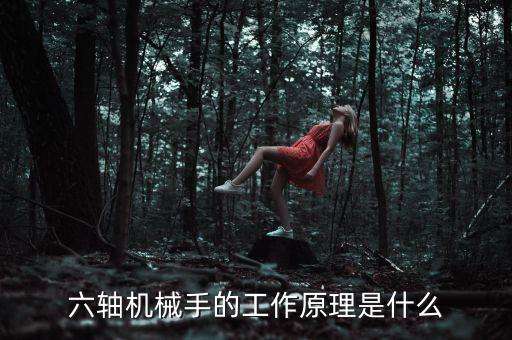 六軸機(jī)械手的工作原理是什么