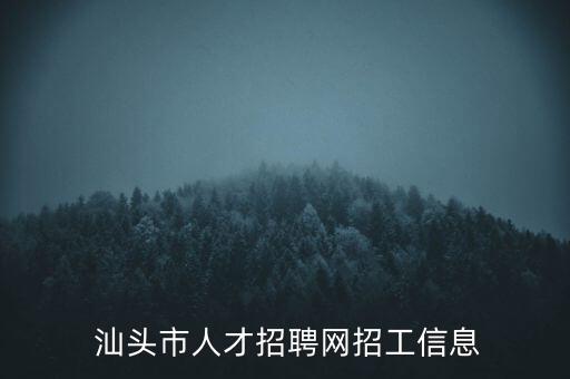 汕頭 電氣自動化,電氣自動化職業(yè)生涯規(guī)劃書