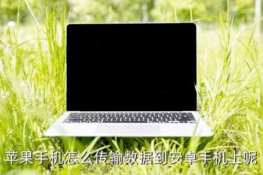蘋(píng)果手機(jī)怎么傳輸數(shù)據(jù)到安卓手機(jī)上呢
