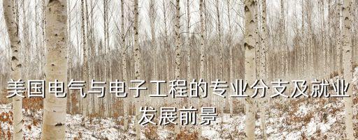 美國(guó)電氣與電子工程的專業(yè)分支及就業(yè)發(fā)展前景