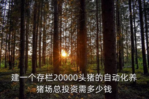 建一個(gè)存欄20000頭豬的自動(dòng)化養(yǎng)豬場總投資需多少錢