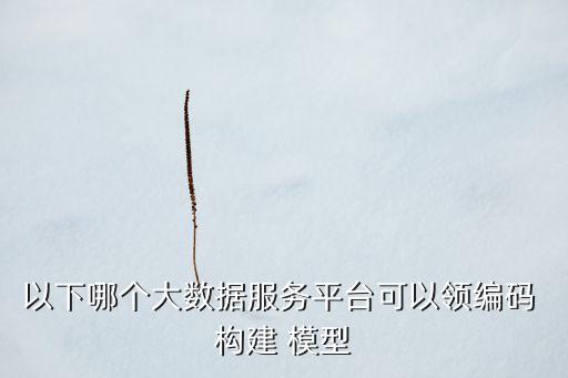 以下哪個(gè)大數(shù)據(jù)服務(wù)平臺(tái)可以領(lǐng)編碼 構(gòu)建 模型