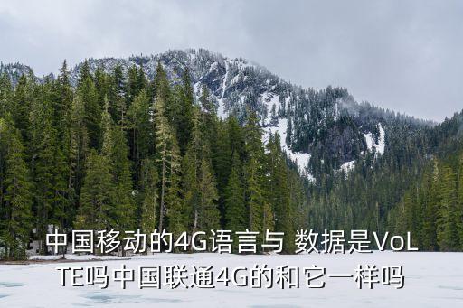 4g數(shù)據(jù)與語音,蘋果語音與數(shù)據(jù)沒有4g只有LTE