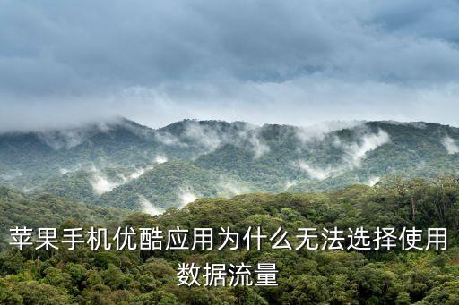 蘋(píng)果手機(jī)優(yōu)酷應(yīng)用為什么無(wú)法選擇使用數(shù)據(jù)流量