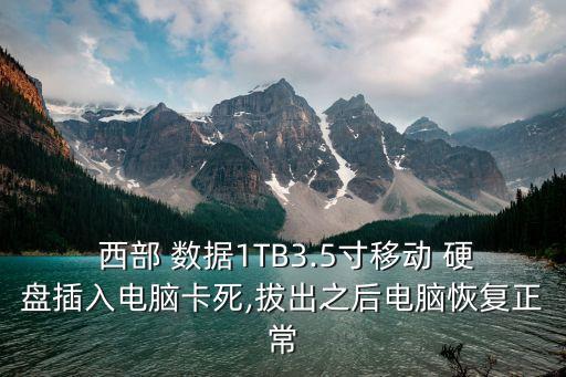  西部 數(shù)據(jù)1TB3.5寸移動(dòng) 硬盤插入電腦卡死,拔出之后電腦恢復(fù)正常