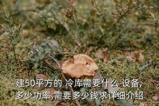 咸寧自動(dòng)化物流冷庫設(shè)備