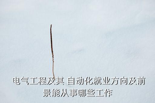  電氣工程及其 自動(dòng)化就業(yè)方向及前景能從事哪些工作