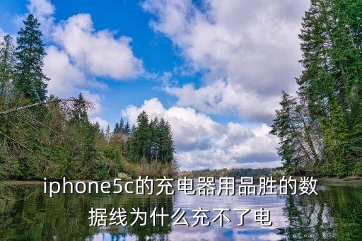 品勝蘋果數(shù)據(jù)線授權(quán),非授權(quán)產(chǎn)品請購買名勝蘋果正品數(shù)據(jù)線