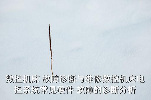 數(shù)控機(jī)床 故障診斷與維修數(shù)控機(jī)床電控系統(tǒng)常見(jiàn)硬件 故障的診斷分析
