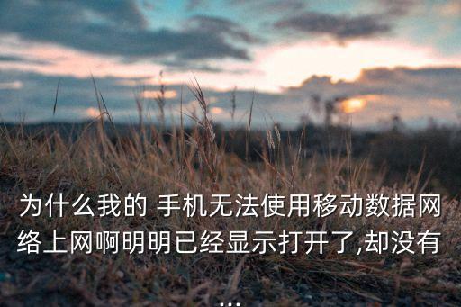 為什么我的 手機無法使用移動數(shù)據(jù)網(wǎng)絡(luò)上網(wǎng)啊明明已經(jīng)顯示打開了,卻沒有...