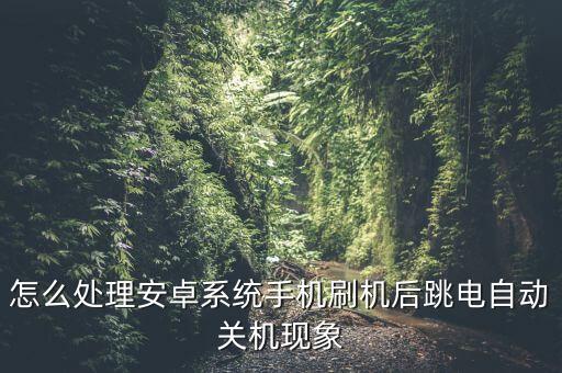 刷機(jī)后開機(jī)自動關(guān)機(jī),怎么處理安卓手機(jī)刷機(jī)后跳電自動關(guān)機(jī)?