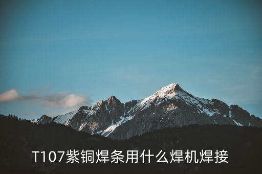 t107,公共交通網(wǎng)絡有哪些重大改動?