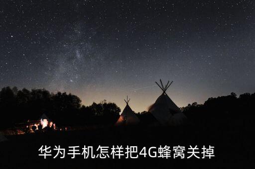 華為手機怎樣把4G蜂窩關(guān)掉
