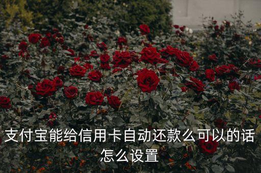 支付寶能給信用卡自動還款么可以的話怎么設(shè)置