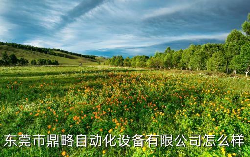 東莞市鼎略自動(dòng)化設(shè)備有限公司怎么樣