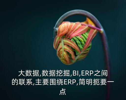 大數(shù)據(jù),數(shù)據(jù)挖掘,BI,ERP之間的聯(lián)系,主要圍繞ERP,簡明扼要一點