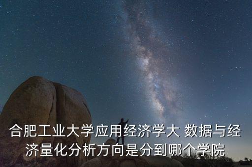合肥工業(yè)大學(xué)應(yīng)用經(jīng)濟學(xué)大 數(shù)據(jù)與經(jīng)濟量化分析方向是分到哪個學(xué)院