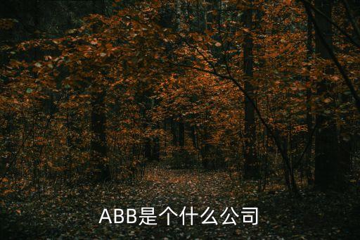 ABB是個什么公司