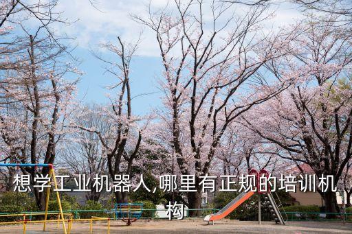 想學(xué)工業(yè)機(jī)器人,哪里有正規(guī)的培訓(xùn)機(jī)構(gòu)