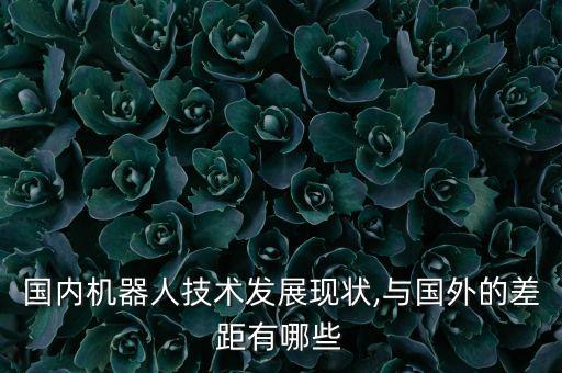 工業(yè)機(jī)器人使用國(guó),中國(guó)工業(yè)機(jī)器人產(chǎn)業(yè)發(fā)展現(xiàn)狀如何