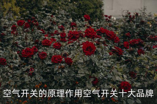 空氣開關(guān)的原理作用空氣開關(guān)十大品牌