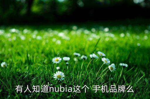 有人知道nubia這個(gè) 手機(jī)品牌么