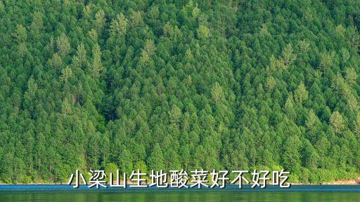 小梁山生地酸菜好不好吃