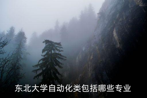 東北大學(xué)自動化類包括哪些專業(yè)
