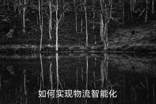 物流自動化設(shè)備普及,物流自動化系統(tǒng)有哪些重點?