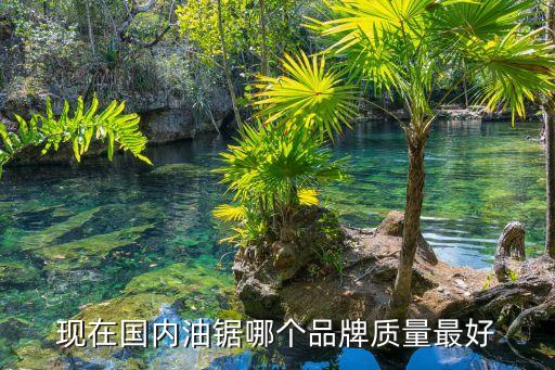 油鋸小型全自動化設(shè)備,昆山自動化設(shè)備公司有哪些