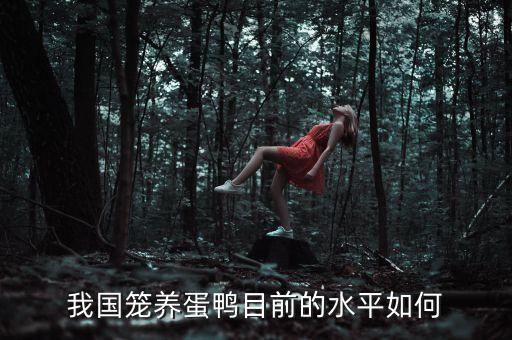 我國(guó)籠養(yǎng)蛋鴨目前的水平如何
