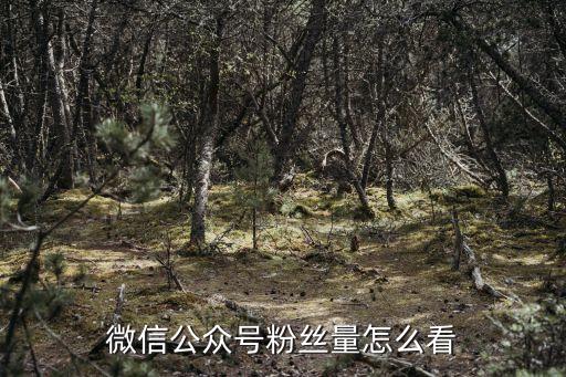 公眾號(hào)數(shù)據(jù),微信公眾號(hào)后臺(tái)數(shù)據(jù)怎么分析?