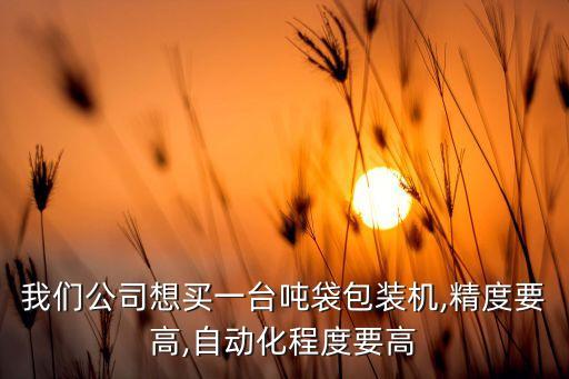 我們公司想買一臺(tái)噸袋包裝機(jī),精度要高,自動(dòng)化程度要高