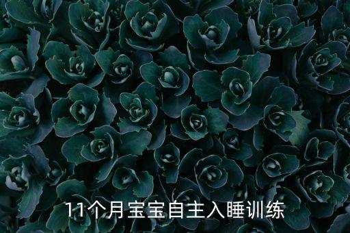 11個月寶寶自主入睡訓(xùn)練