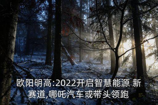 歐陽(yáng)明高:2022開(kāi)啟智慧能源 新賽道,哪吒汽車(chē)或帶頭領(lǐng)跑