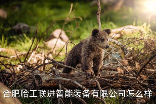 合肥非標(biāo)自動化公司,一文看懂!合肥通彩自動化靠譜嗎?