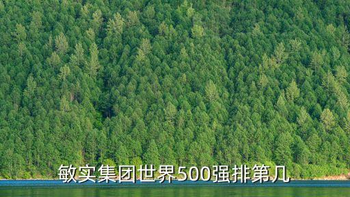 敏實(shí)集團(tuán)世界500強(qiáng)排第幾
