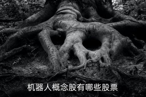 江陰沖孔自動化公司有哪些,中國十大機器人公司有哪些?