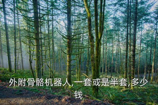 外附骨骼機器人,一套或是半套,多少錢