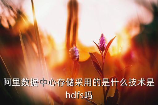 阿里數(shù)據(jù)中心存儲(chǔ)采用的是什么技術(shù)是hdfs嗎