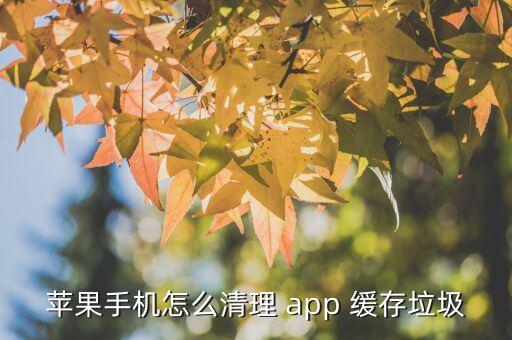 蘋果手機怎么清理 app 緩存垃圾