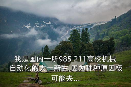 我是國內(nèi)一所985 211高校機(jī)械 自動化的大一新生,因?yàn)榉N種原因極可能去...