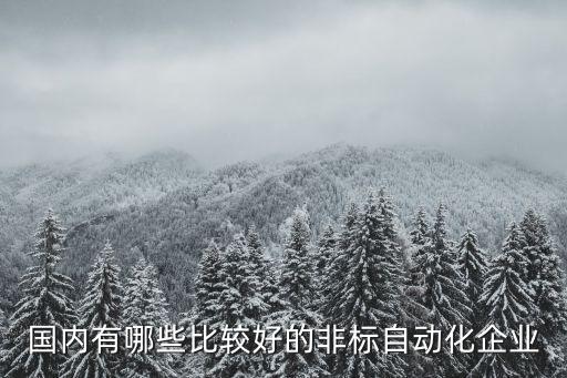 國內(nèi)有哪些比較好的非標(biāo)自動化企業(yè)
