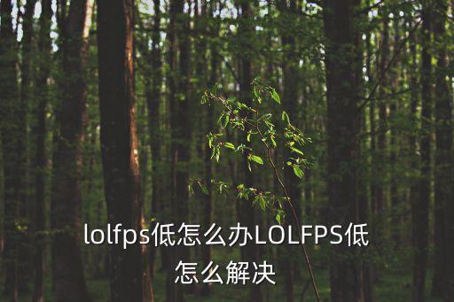 lolfps低怎么辦LOLFPS低怎么解決