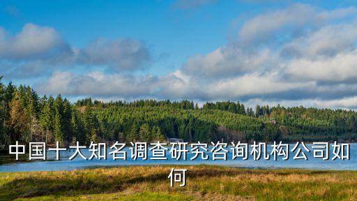 中國十大知名調(diào)查研究咨詢機(jī)構(gòu)公司如何