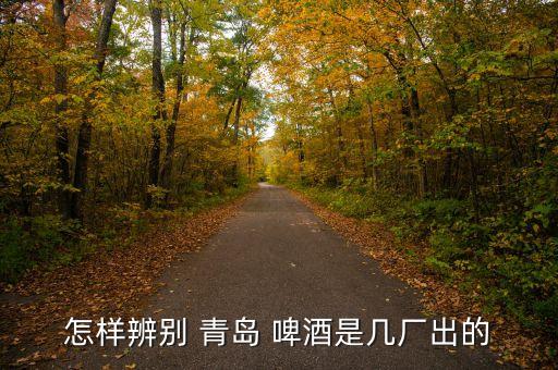 怎樣辨別 青島 啤酒是幾廠出的