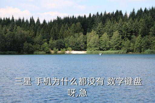 三星手機自動數(shù)字鍵,三星rv411數(shù)字鍵切換