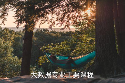 大數(shù)據(jù)專業(yè)主要課程