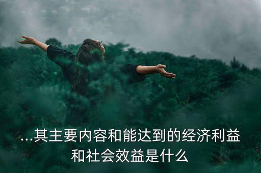 ...其主要內(nèi)容和能達到的經(jīng)濟利益和社會效益是什么