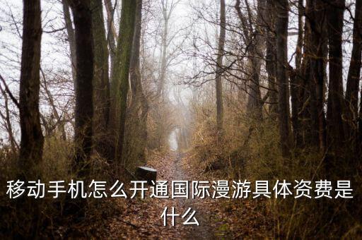 移動手機怎么開通國際漫游具體資費是什么